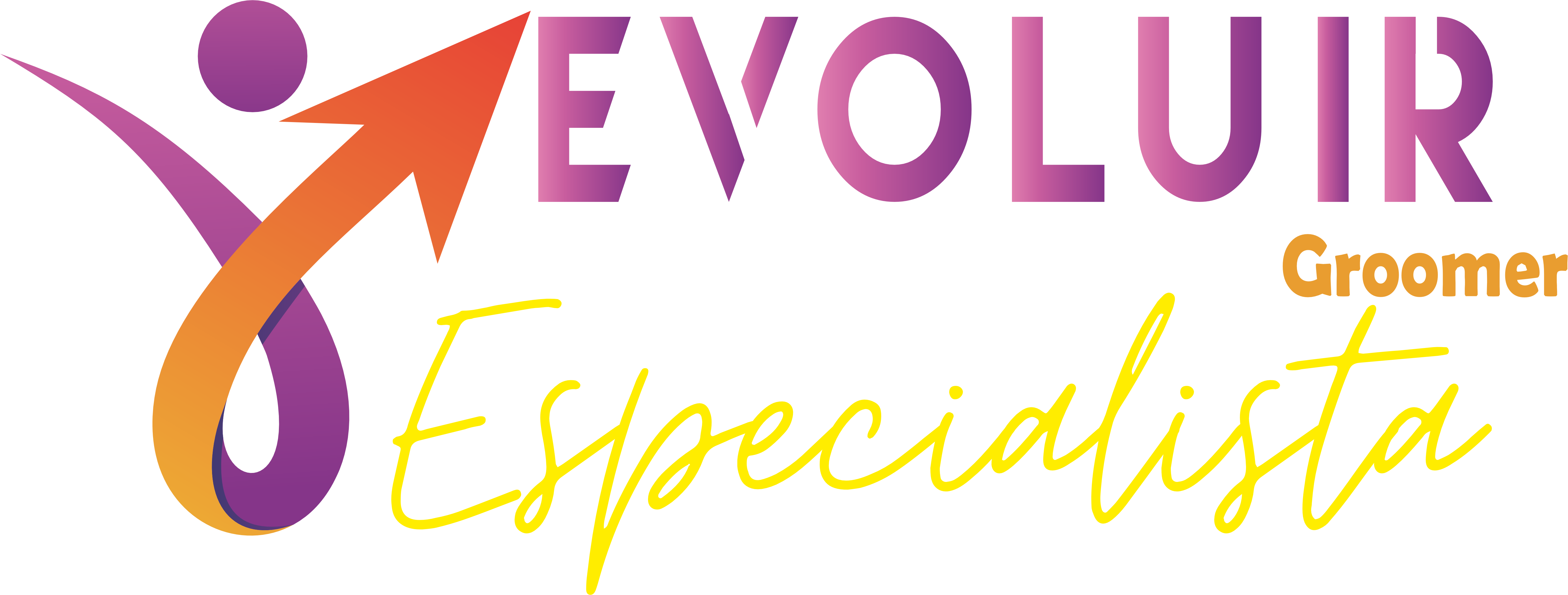 Imagem do logo do formulário